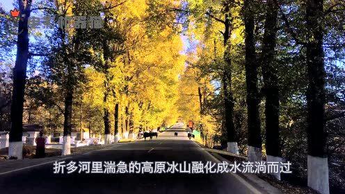 娱乐吃瓜拍摄地,探寻明星足迹的神秘角落