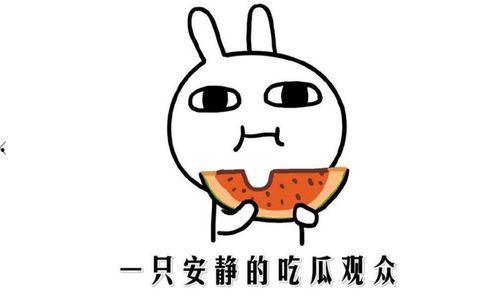 我在吃瓜什么意思,揭秘“吃瓜群众”背后的网络现象