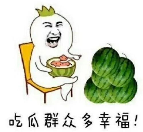 娱乐圈吃瓜必备
