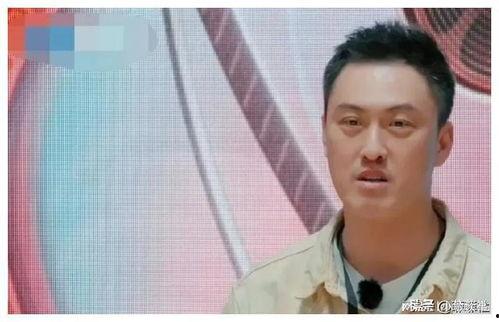 娱乐圈吃瓜爆料有成毅吗,成毅成“瓜王”？揭秘明星幕后故事